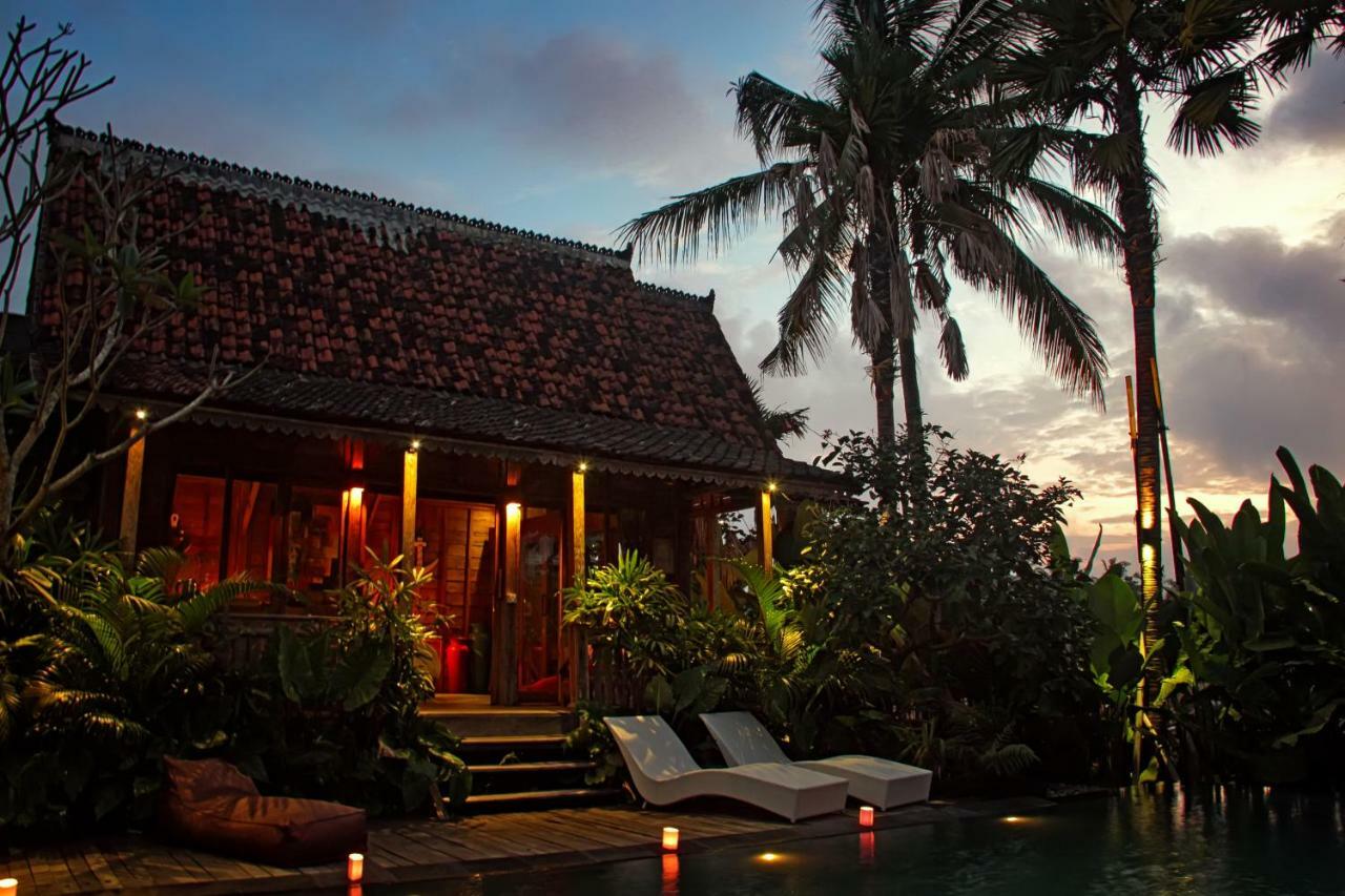 Ubud Virgin Villa Екстер'єр фото